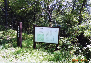 aidu9
